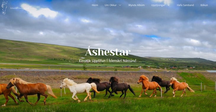 Áshestar - Icelandic Horseback Riding