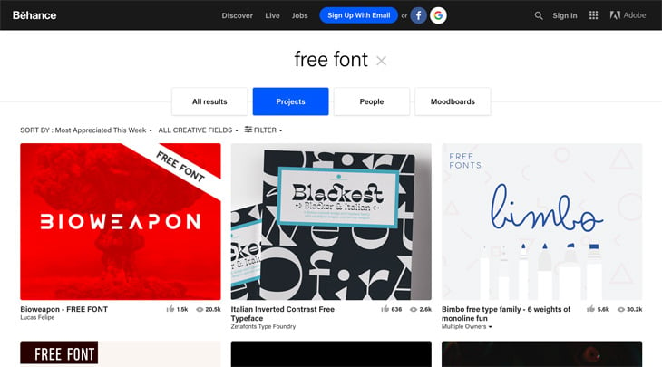 Behance Screenshot Themify Custom Fonts