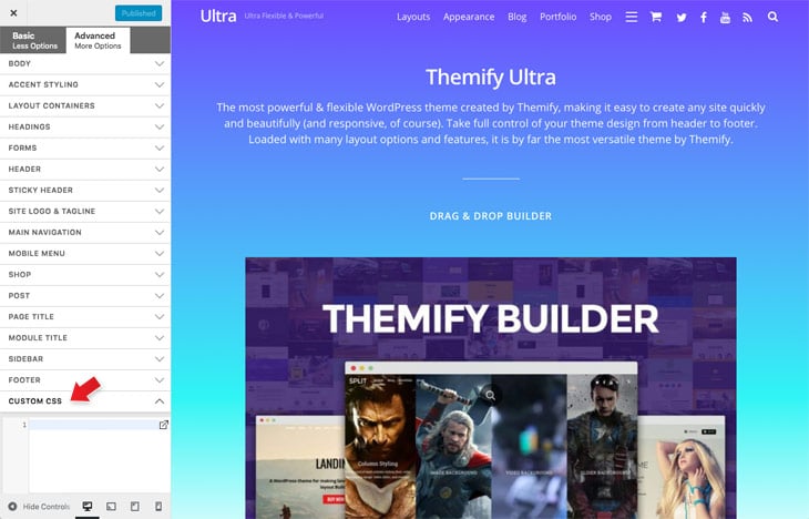 Themify Tutorial Customizer Panel