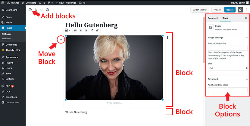 Gutenberg interface