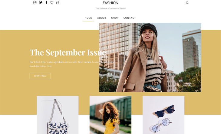 Themify Shoppe Fashion Skin WordPress Fashion Theme