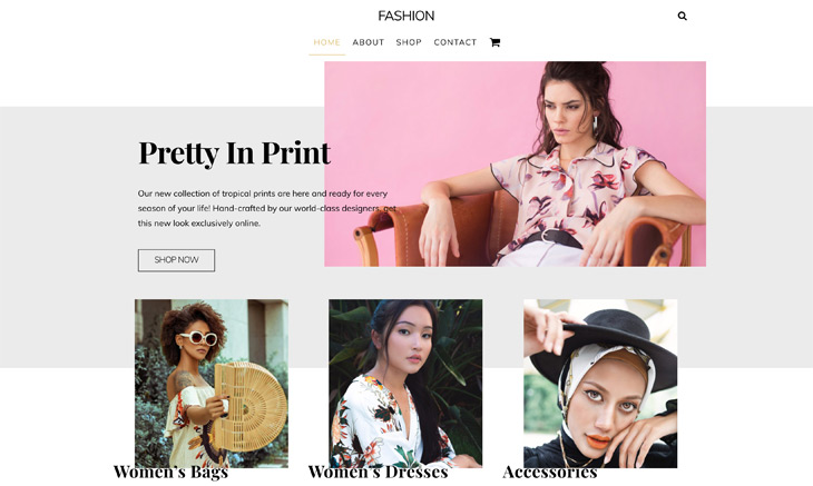 Themify Ultra Fashion Skin WordPress Fashion Theme