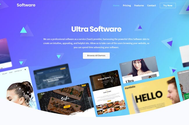 Ultra Software Skin WordPress Themify Ultra Theme