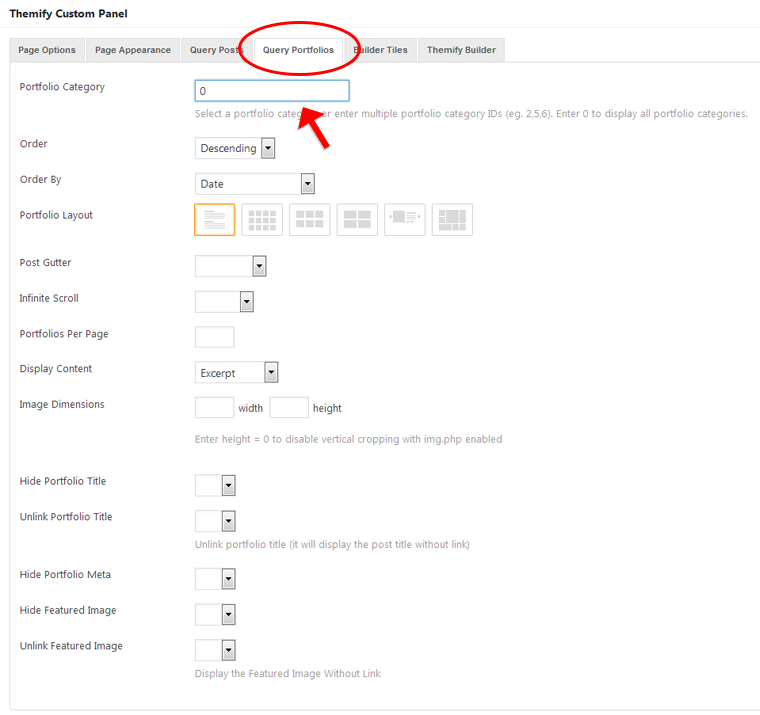 this is portfolio post type query panel screenshot