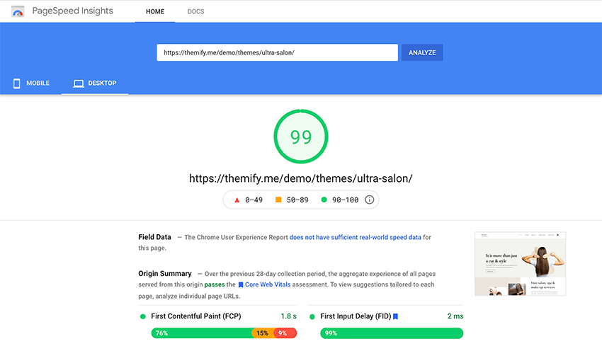 Salon pagespeed score