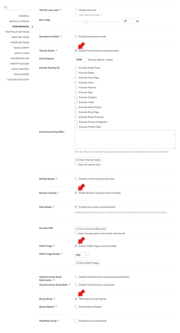 Themify Performance Settings