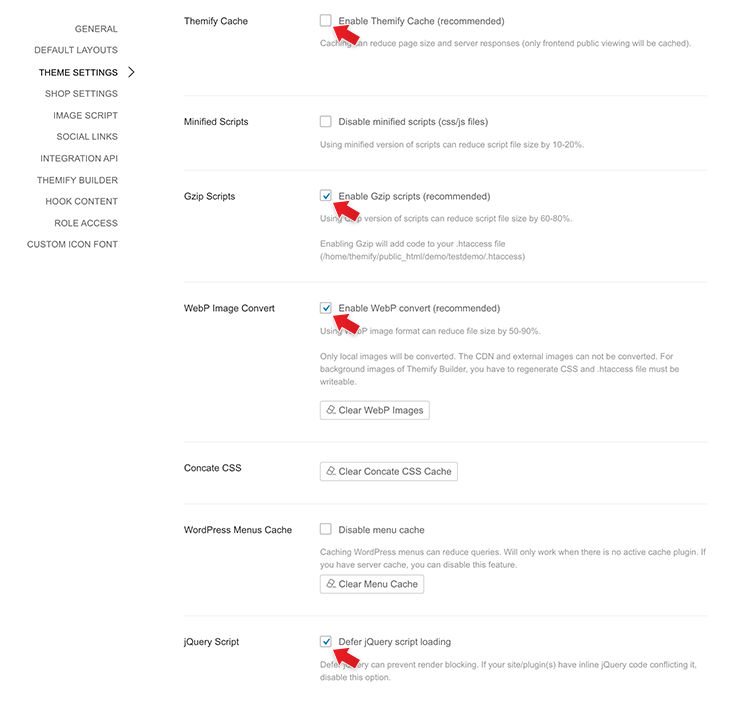 Themify performance settings