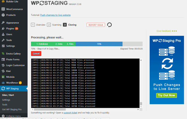 WP Staging Process